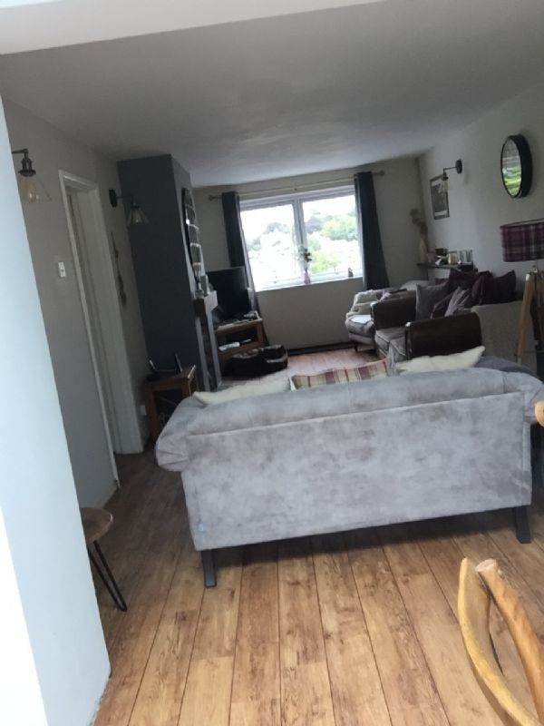 Rustic wide-plank luxury vinyl in a living room